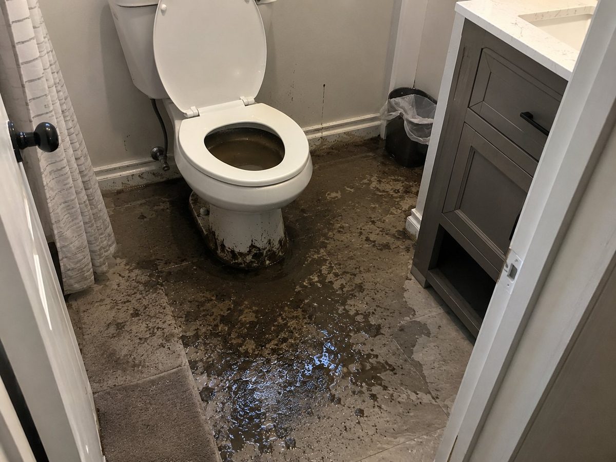 Sewage backup